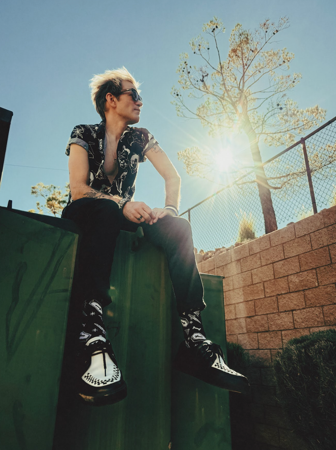 The Lost Cause - [Chaos Box Exclusive]